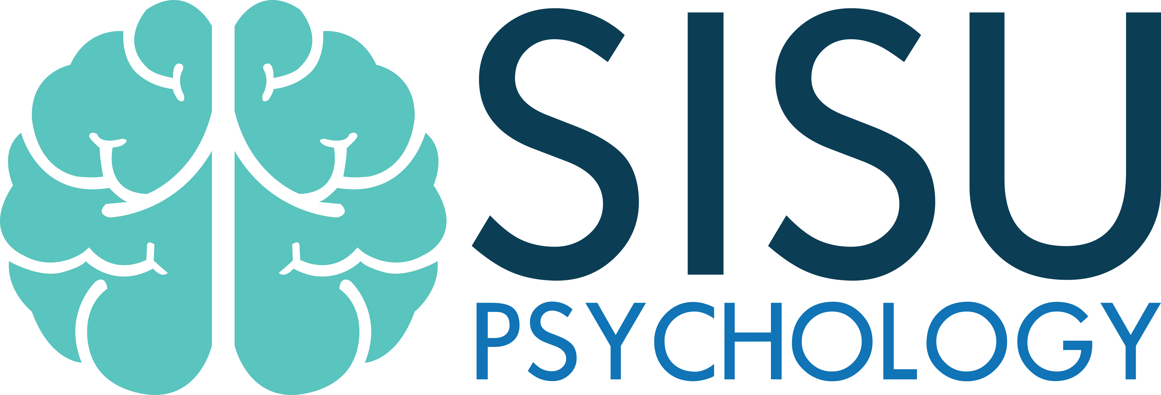 https://proman.big-staging.co.uk/wp-content/uploads/2020/08/sisu.png