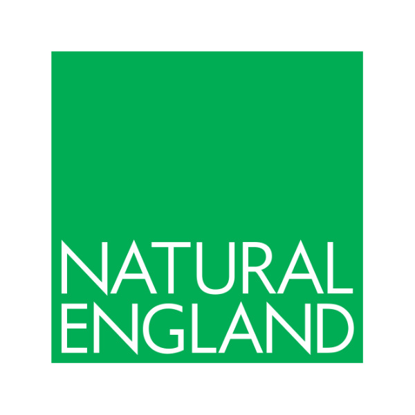 https://proman.big-staging.co.uk/wp-content/uploads/2022/05/Untitled-design-11.png
