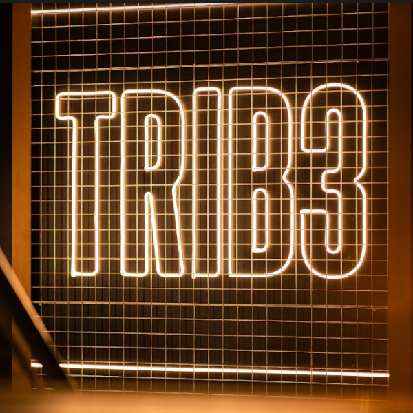 https://proman.big-staging.co.uk/wp-content/uploads/2022/07/TRIB3-2.jpg